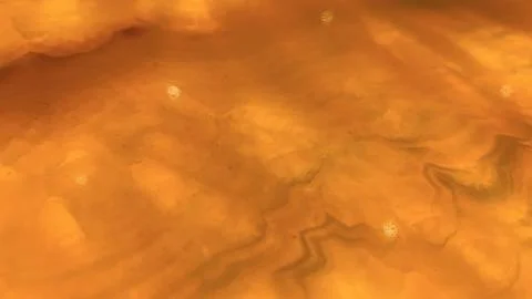 Premium background design with unique pattern in color, background template.. Stock Photos