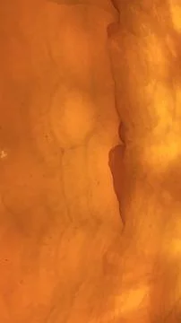 Premium background design with unique pattern in color, background template.. Stock Photos