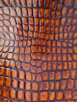 Premium brown crocodile pattern background with shiny texture for design an.. Stock Photos