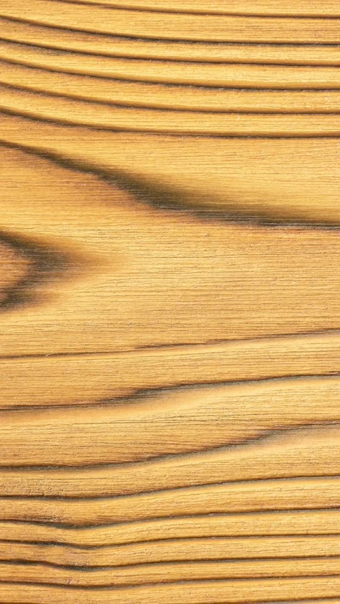 Premium Charred Timber Texture Background Stock Footage 343322308