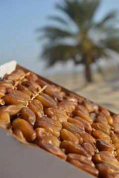 Premium Dates in Box with Palm Tree Background Stock Photos