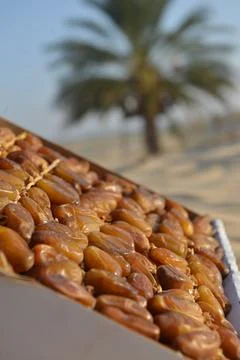 Premium Dates in Box with Palm Tree Background Foto stock