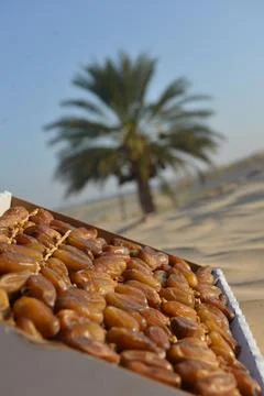 Premium Dates in Box with Palm Tree Background Stock Photos