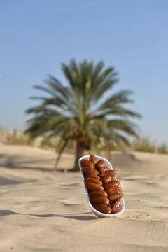 Premium Dates in Desert Oasis Foto stock
