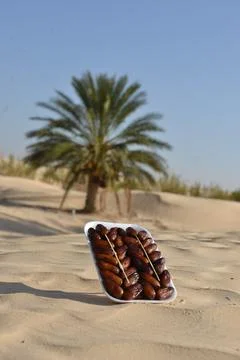 Premium Dates in Desert Oasis 스톡 사진