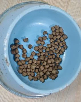 Premium Dry Pet Kibble in Ceramic Bowl Top-Down Flat Lay Stock Photos