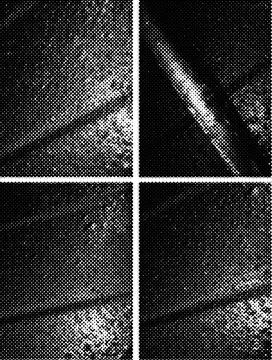 Premium Halftone Dot Black And White Abstract Backgrounds for Digital and P.. Stockillustratie