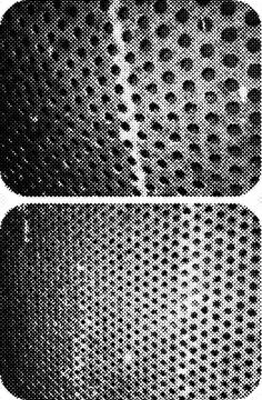 Premium Halftone Dot Black And White Abstract Backgrounds for Digital and P.. Stockillustratie