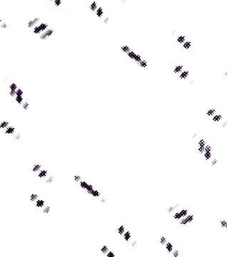 Premium Halftone Dot Black And White Abstract Backgrounds for Digital and P.. Stockillustratie