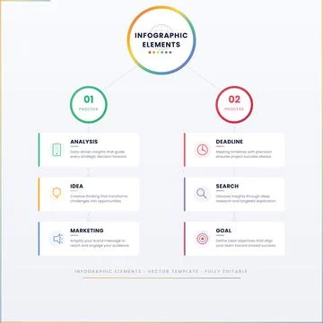 Premium Infographic Flowchart Vector Professional Process Diagram Illustrazione stock