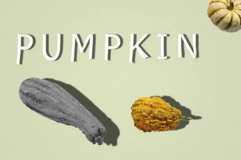 Premium Mishko Effect Distorted Pumpkin Harvest Poster Stock Photos