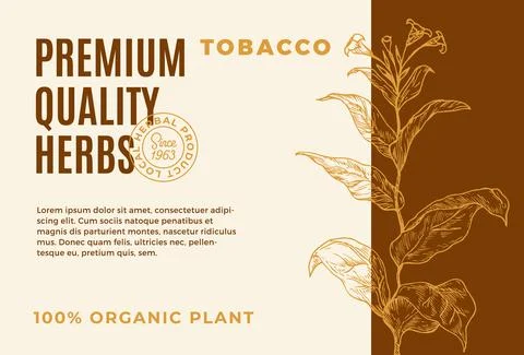 Premium Quality Herbs Abstract Vector Design Label. Modern Typography and Hand 스톡 일러스트