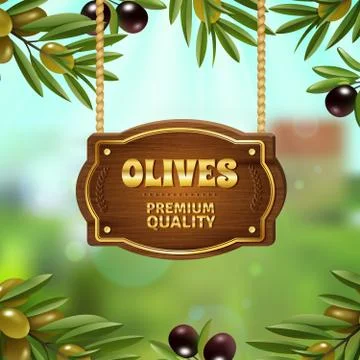 Premium Quality Olives Background Stock Illustration