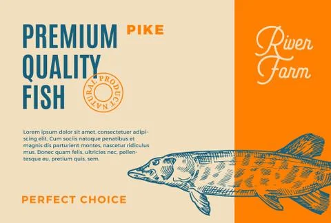 Premium Quality Pike. Abstract Vector Fish Packaging Design or Label. Modern Stock Illustration