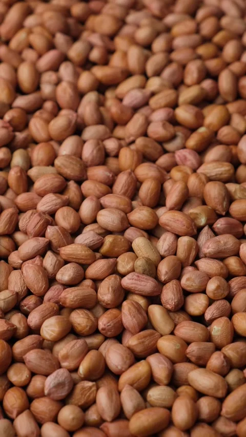 Premium Quality Raw Natural Brown Peanuts Without Shell. Vertical Rotate Stock Footage 305830361