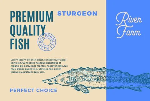 Premium Quality Sturgeon. Abstract Vector Fish Packaging Design or Label. Modern Stock Illustration