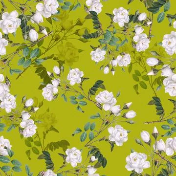 Premium Seamless Pattern Bundle: Floral, Ethnic, Geometric, and Animal Prin.. Stock Illustration