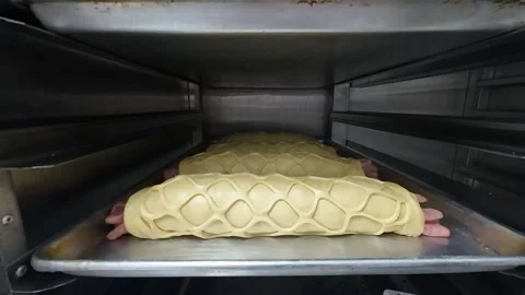 Premium Selection of Artisan Ham Breads Ready for Baking in Commercial Oven Stock Footage 337638220