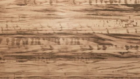 Premium Timber Slats Texture 4K for Architectural Design Stock Footage 303365453