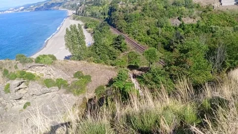 Premium Vertical Cinematic Drone Shot of Turkali Beach Railway Zonguldak 4K Stock Footage 345096397