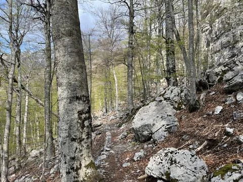Premuzic hiking trail or Premuzic Trail - Velebit Nature Park, Croatia Stock Photos