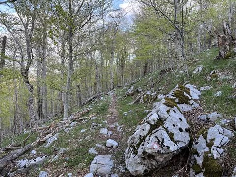Premuzic hiking trail or Premuzic Trail - Velebit Nature Park, Croatia Stock Photos