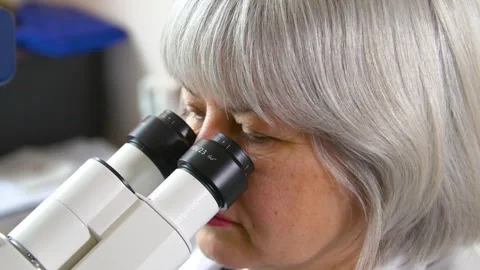 Prenatal Genetic Laboratory. Study of genetic materials of pregnant women. Stock Footage 269644767
