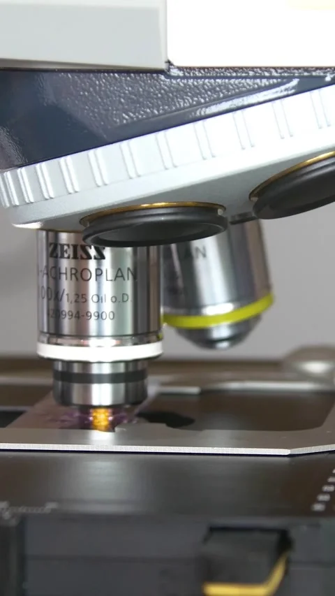 Prenatal Genetic Laboratory. Study of genetic materials of pregnant women. Stock-Footage 269645530