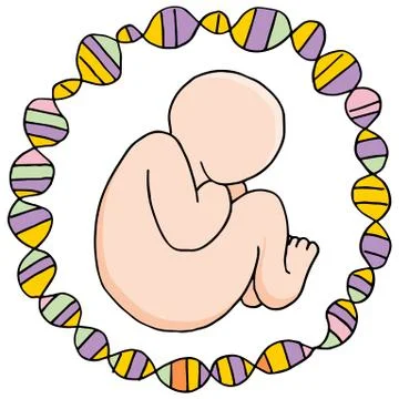 Prenatal genomic research Illustrazione stock