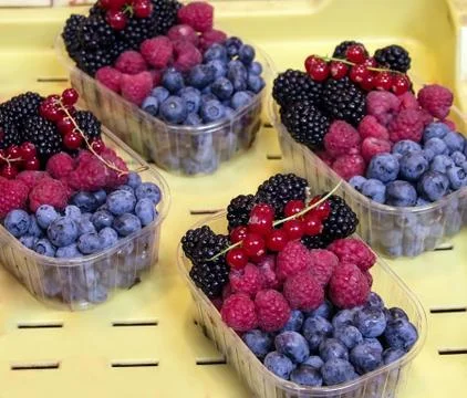 Prepacked crop of different berries Stock Photos