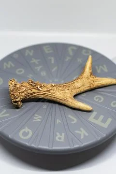 Preparation of a 3d scanner for an object, working the file on a computer t.. 스톡 사진