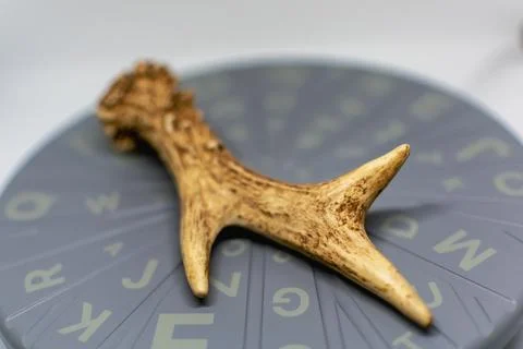 Preparation of a 3d scanner for an object, working the file on a computer t.. Stock Photos