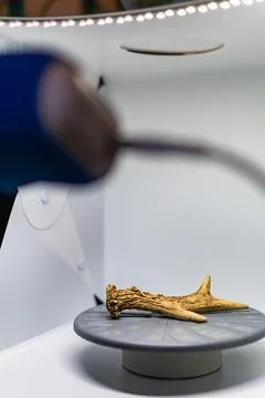 Preparation of a 3d scanner for an object, working the file on a computer t.. Stock Photos