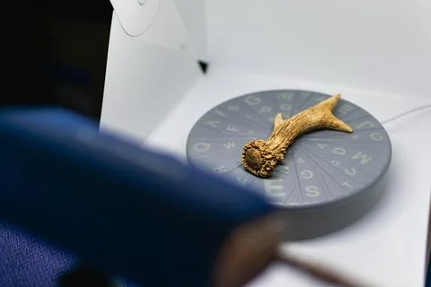 Preparation of a 3d scanner for an object, working the file on a computer t.. 库存照片