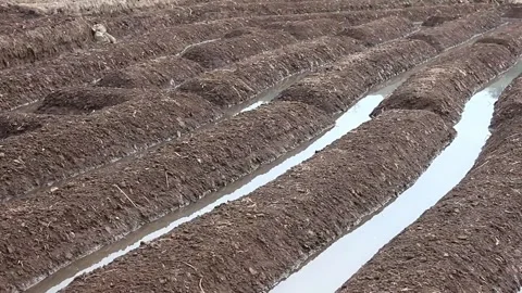 Preparation of Agricultural Bed Soil  Stock Footage 276804693