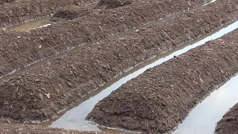 Preparation of Agricultural Bed Soil  Stock Footage 276804694
