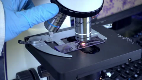 Preparation and microscope. Stock Footage 88199731