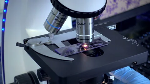 Preparation and microscope. Stock Footage 88199779
