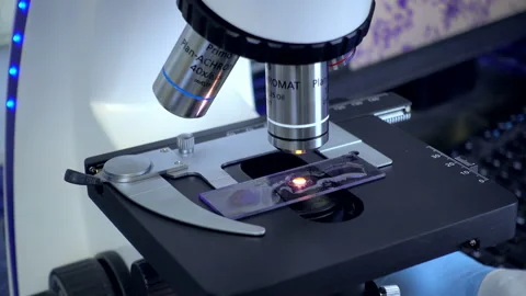 Preparation and microscope. Stock Footage 88199790