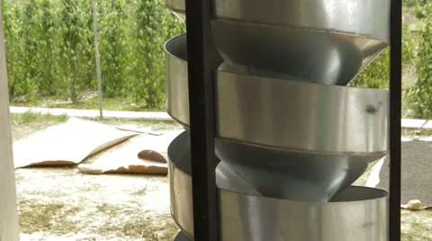 Preparation Of Black Pepper Video stock 61462121