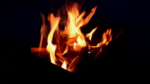 Preparation the coals for a barbecue Stock Footage 303354026