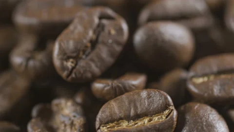 Preparation of coffee sequence Stock Footage 92017018