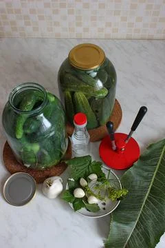 Preparation of cucumbers and rolling in jars Stock Photos