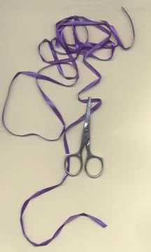 Preparation for cuting Foto stock