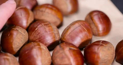 Preparation by cutting the shells of edible chestnut nuts for baking Stock Footage 311154600