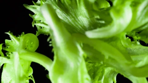 Preparation of a Dish from Salad HD Pro Video stock 74542610