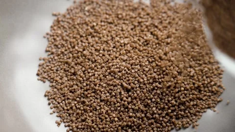 Preparation of dry buckwheat couscous close up Vidéo 282058041