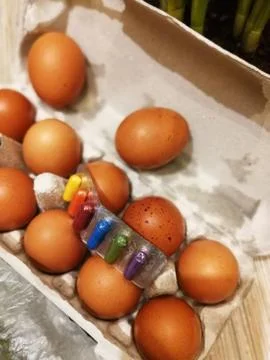 Preparation for dying Easter eggs at home Stock Photos