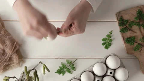 Preparation of Easter eggs for coloring with onion peels - attaching fresh herbs Stock Footage 169976208
