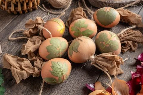 Preparation of Easter eggs for dyeing with onion peels, with a pattern of lea Stock Photos